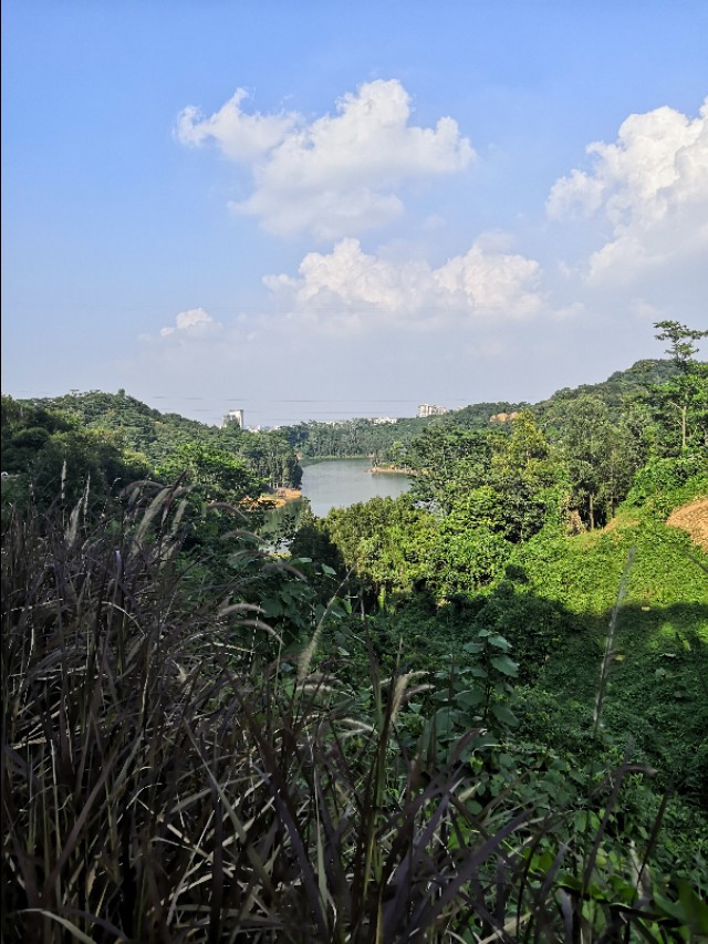 羊台山游记