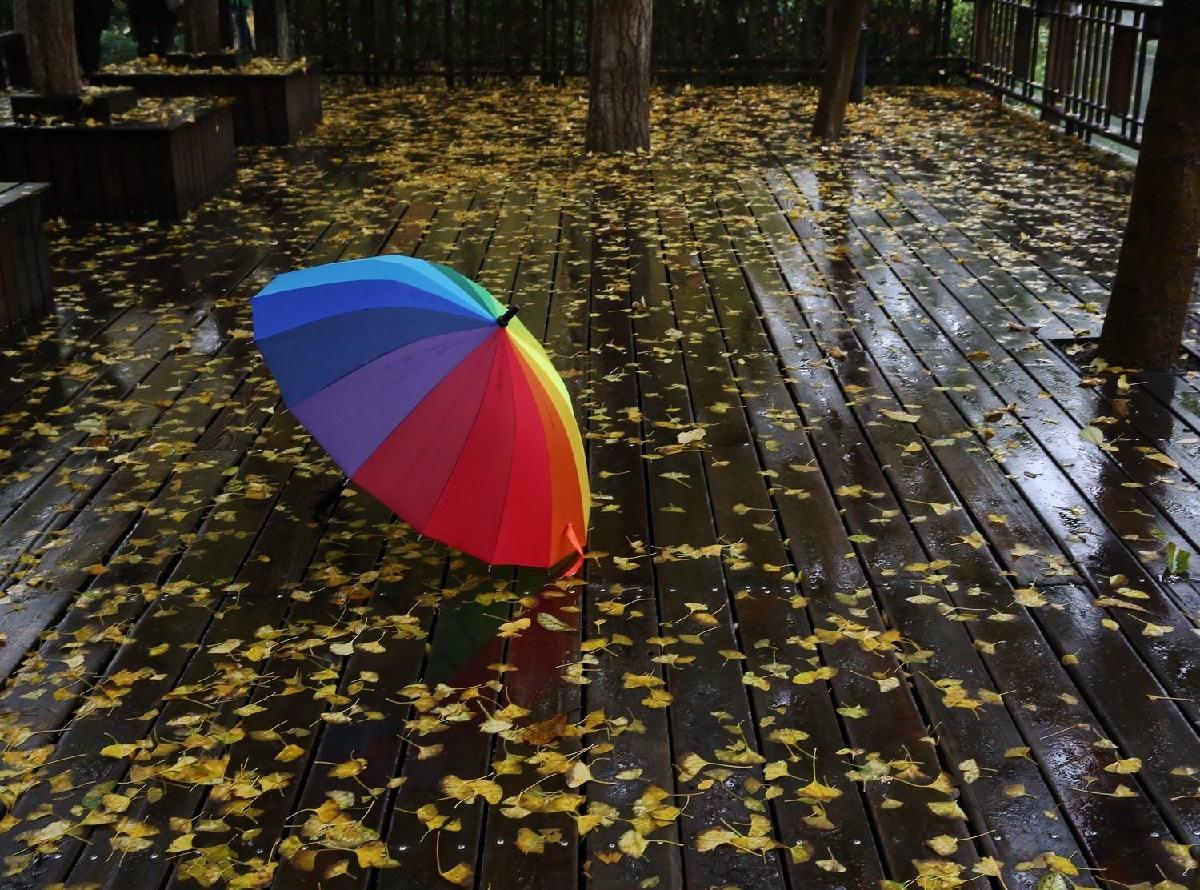 白居易一首写于秋雨连绵夜晚的唐诗，却是心境淡泊，是他长寿秘诀
