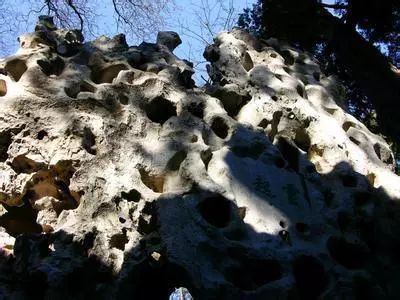 太湖石是皇家园林的布景石材，大自然鬼斧神工，有很高的观赏价值