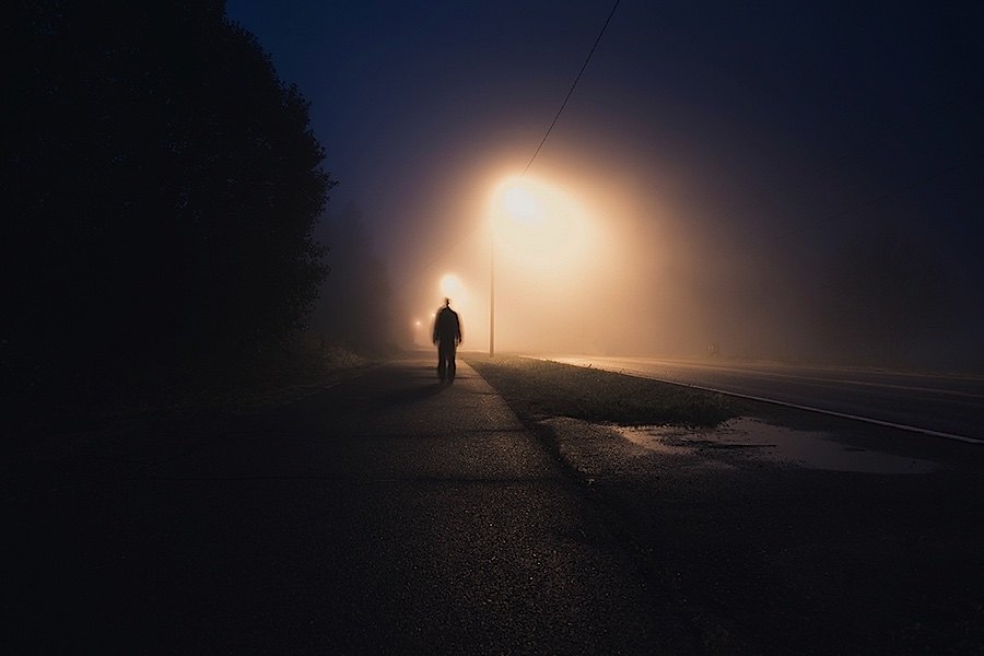 我是人间惆怅客知君何事泪纵横断鸿声里忆平生梦里