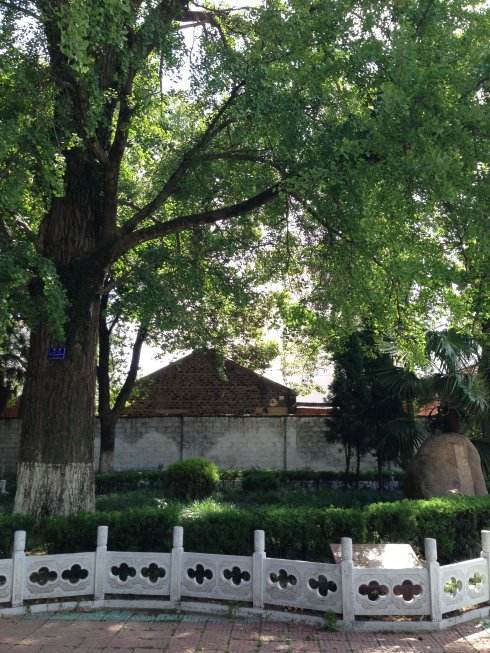 姚鼐在桐城派中地位最高是因为桐城姚鼐记以桐城标明自己所属流派