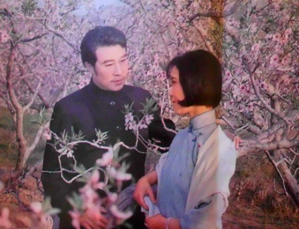 旧影：1981年影片《伤逝》王心刚主演