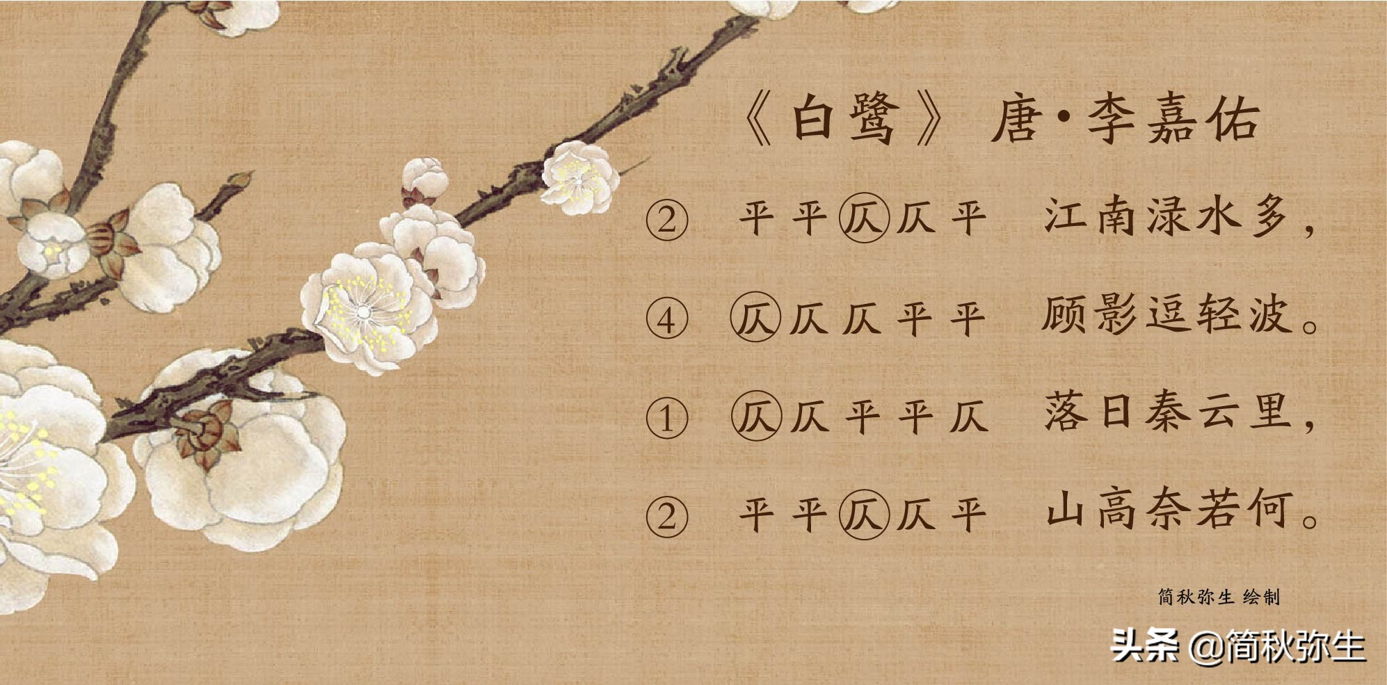 【诗词】4首五言绝句,4种平仄谱式——五言绝句近体诗的平仄谱