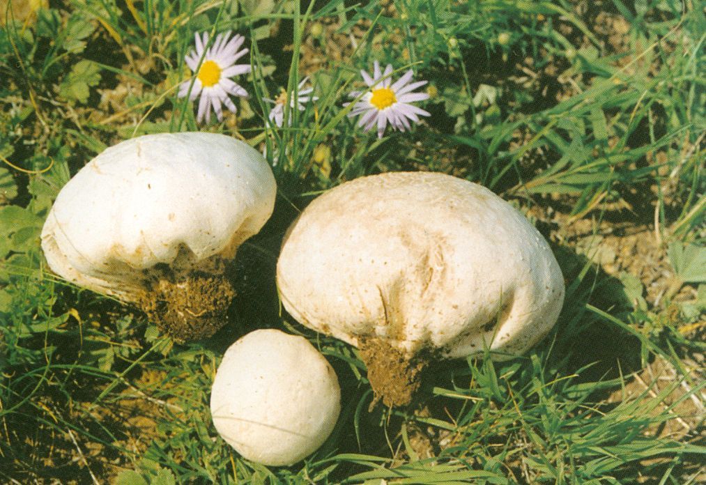 可能很多人都不知道!