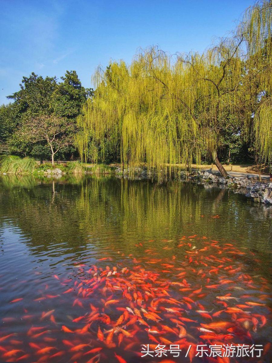 杭州旅行攻略超详细,西湖景点自由行攻略