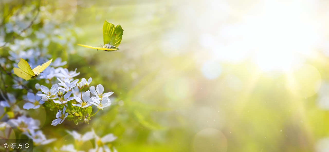 繁花似锦的春天，有文化的你读过这十首关于春天的古诗吗？