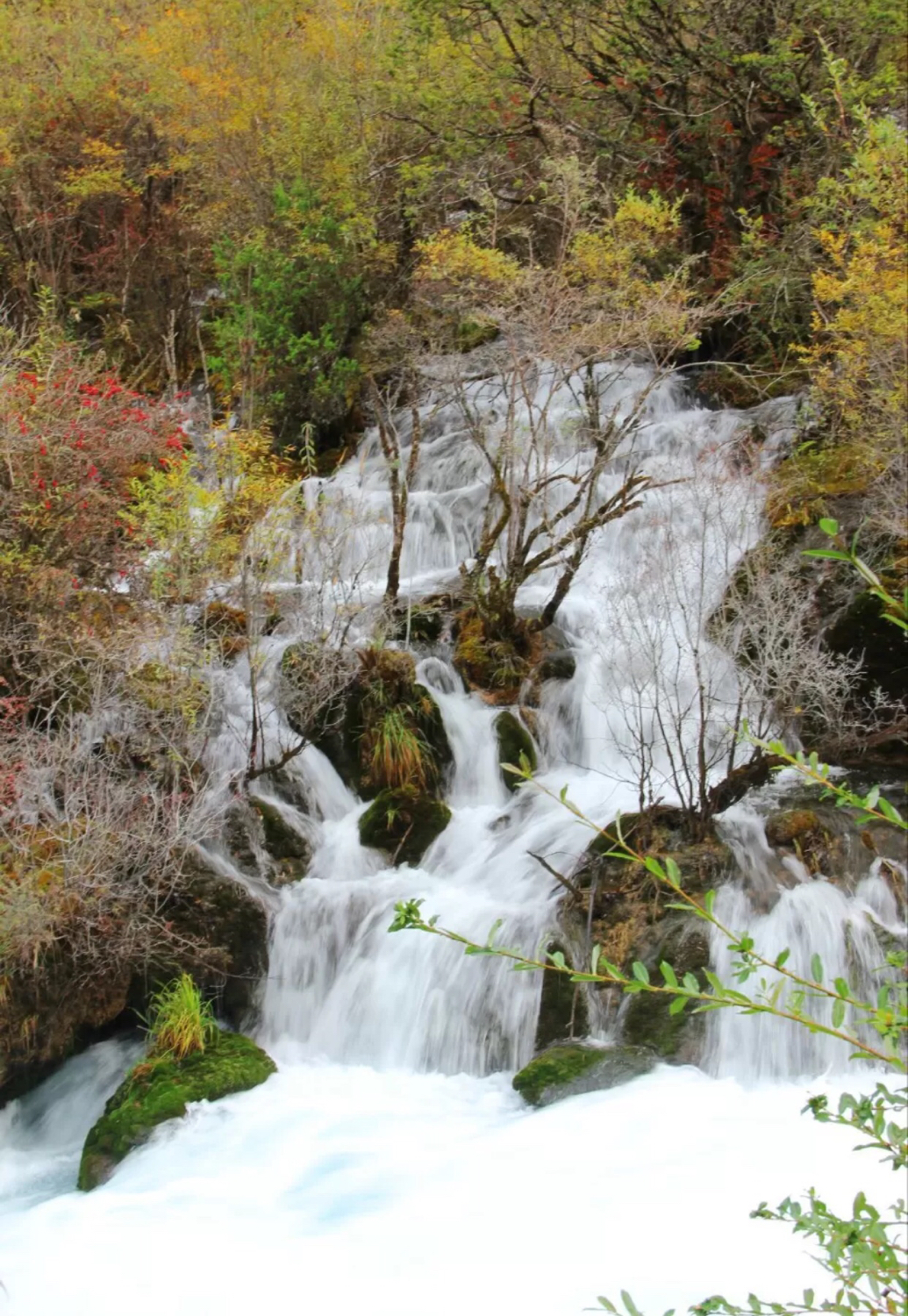 九寨沟的风景真实图片