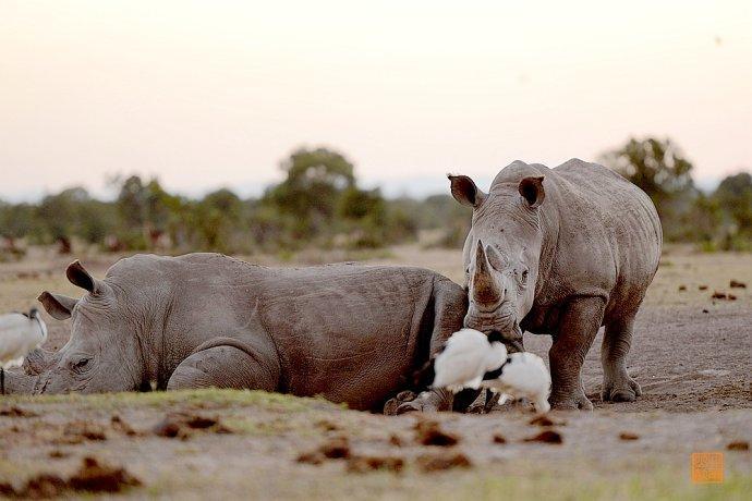 去非洲安全吗_南美洲旅游为什么很贵 - 密云旅游
