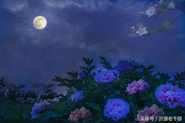 「诗词天地」历史上水平最高的二十首《西江月》