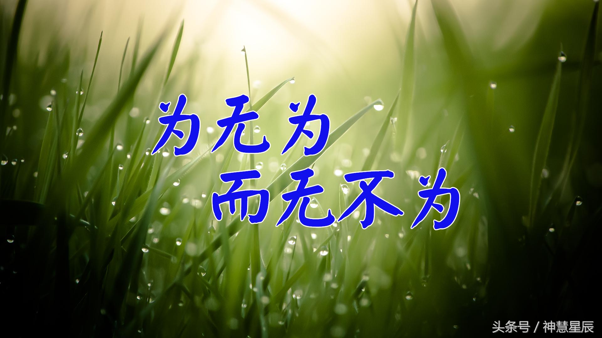道德经第十六章原文及译文道德经全文81章译文百度文库