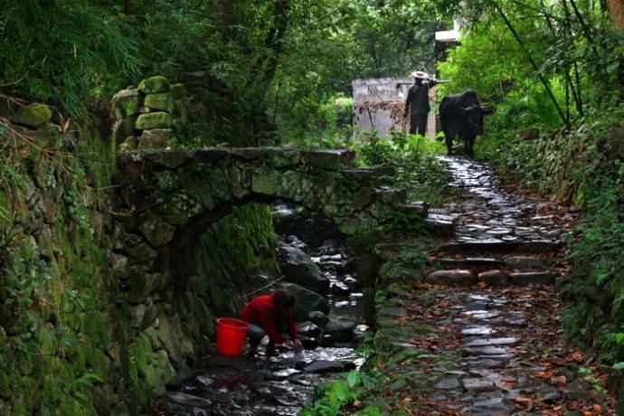 唐诗中最诗情画意的山村景色：雨里鸡鸣一两家，竹溪村路板桥斜