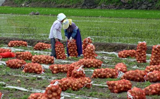 农业贷款怎么申请？个体户、合作社、家庭农场、小微企业申请条件