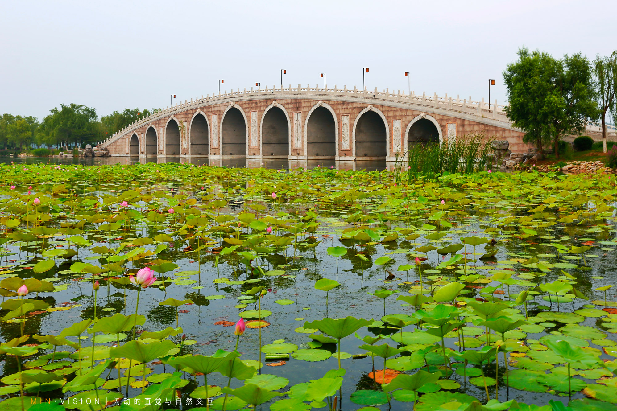 唐山南湖公园,风景美不胜收,免费的4a景区
