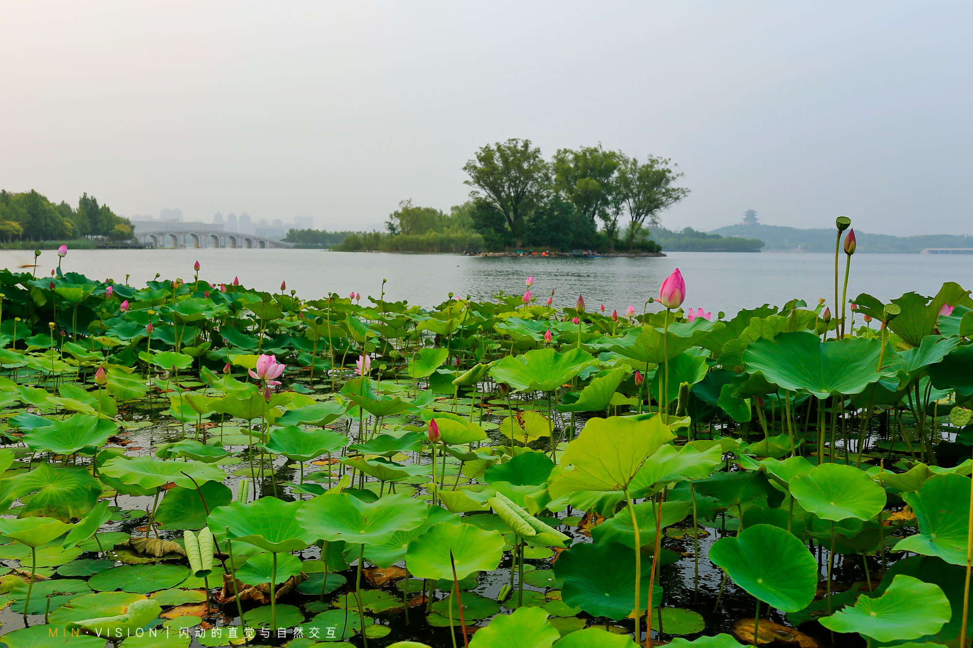 唐山南湖公園,風景美不勝收,免費的4a景區