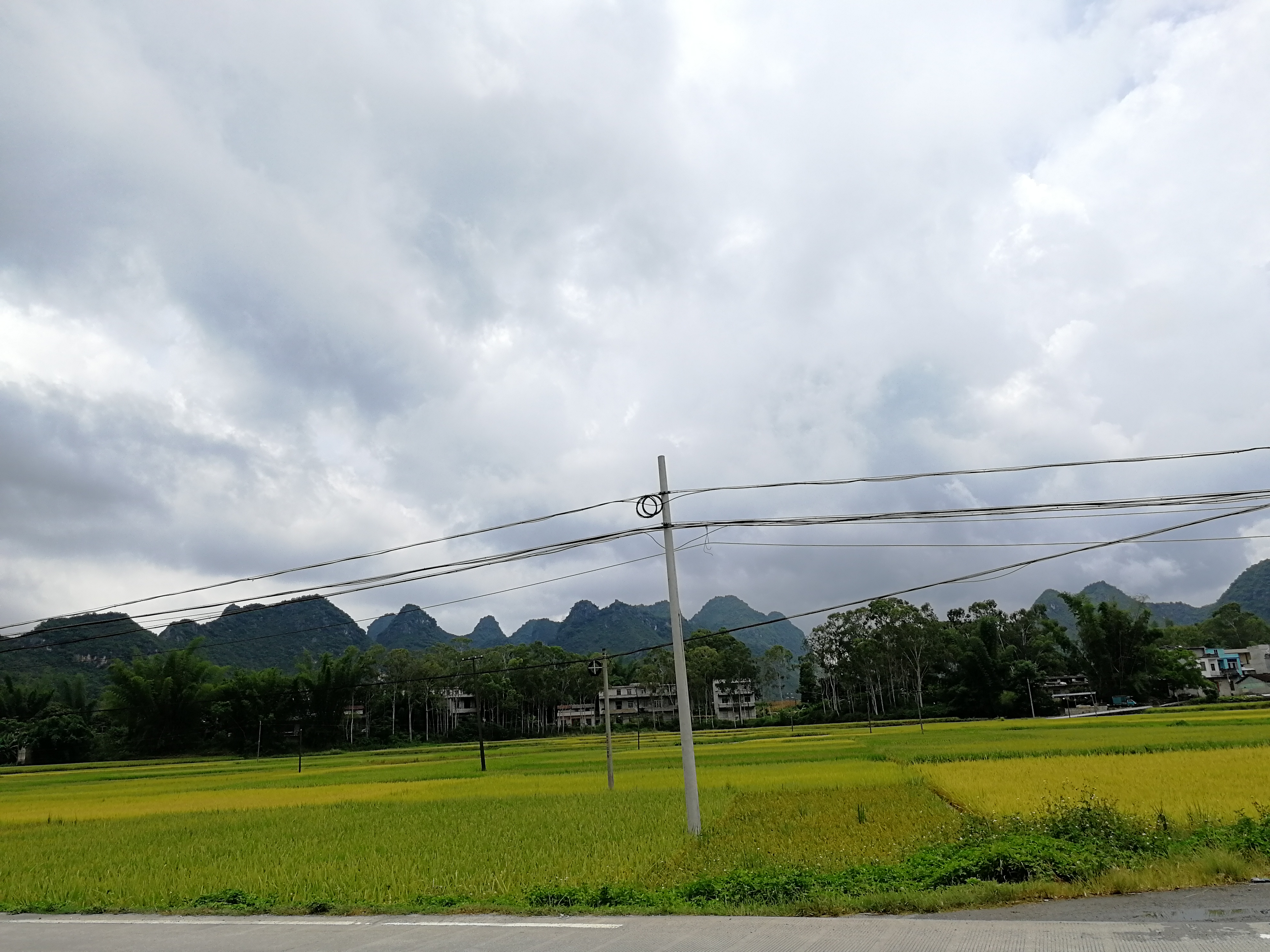 古诗山重水复疑无路柳暗花明又一村的意思 山重水复疑无路柳暗花明又一村的英语 成语词句网