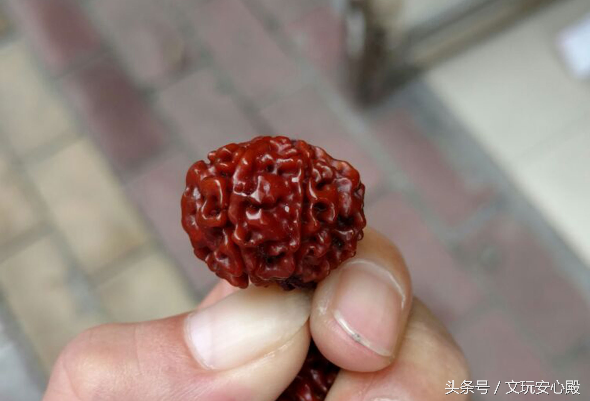 金刚菩提子的保养,怎么盘包浆快,怎么盘红的快