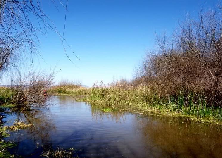 古滇溼地公園晉寧古滇溼地公園位於滇池南岸,長腰山西側,是晉寧最近