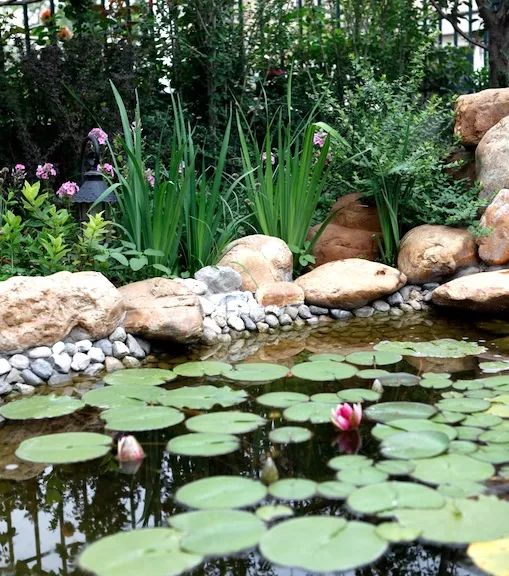 花园留一方小池塘，让院子清澈透凉