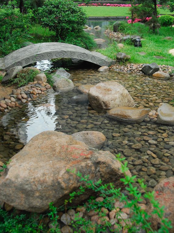 花园留一方小池塘,让院子清澈透凉