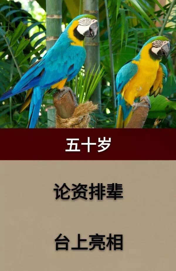 人生几十年弹指一瞬间_人生几十年弹指一挥间的意思是什么 - 励志人生