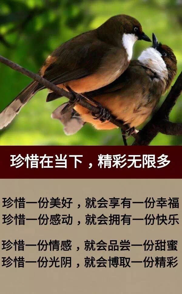 人生几十年弹指一瞬间_人生几十年弹指一挥间的意思是什么 - 励志人生