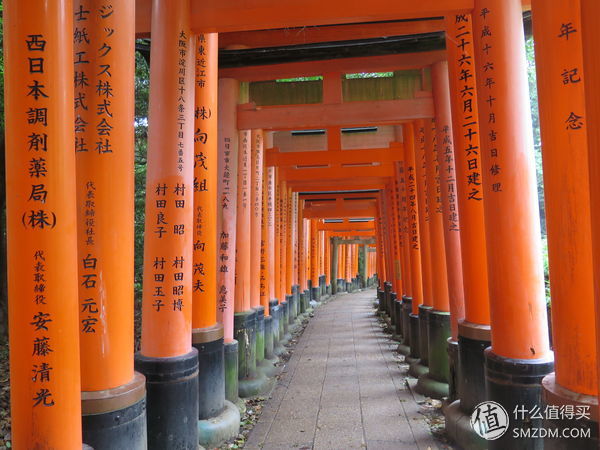 迟来的夏日日本自由行记，东京、大阪、京都、神户7日游