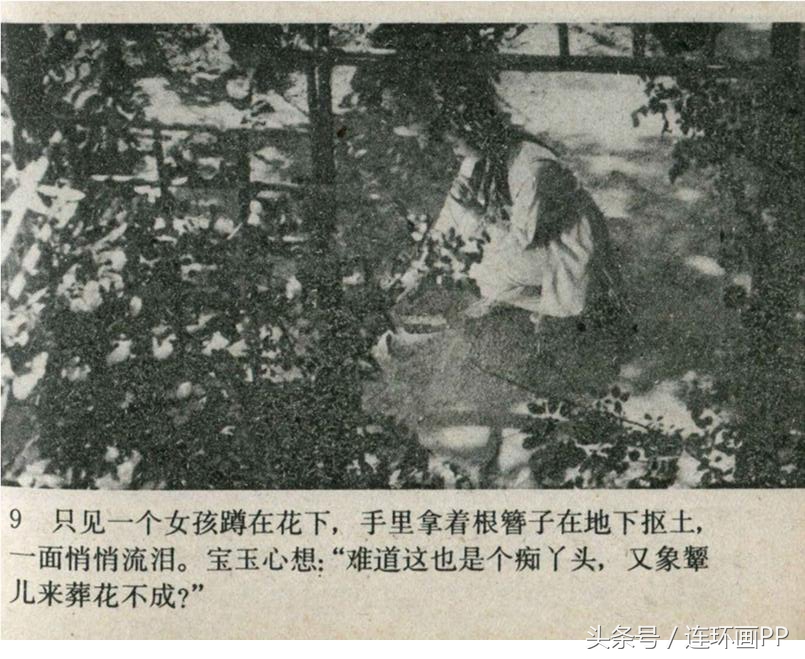经典版连续剧《红楼梦》第五册「刘姥姥逛大观园」