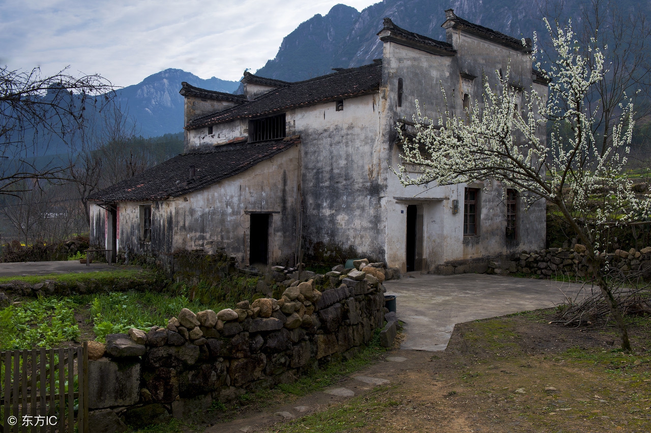 梨花院落溶溶月,诚邀下联!