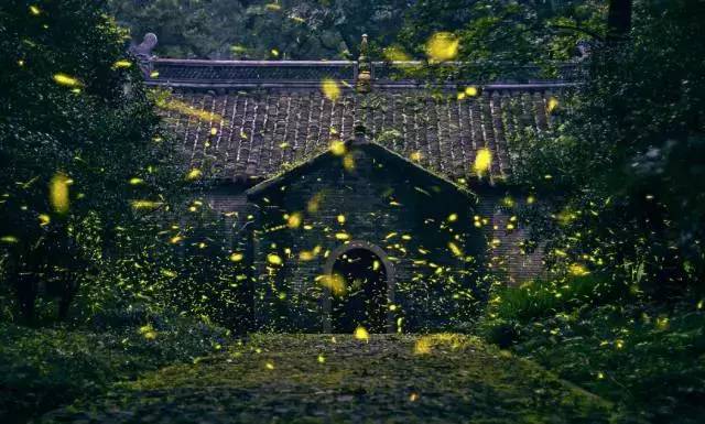 银烛秋光冷画屏轻罗小扇扑流萤银烛秋光冷画屏轻罗小扇扑流萤解