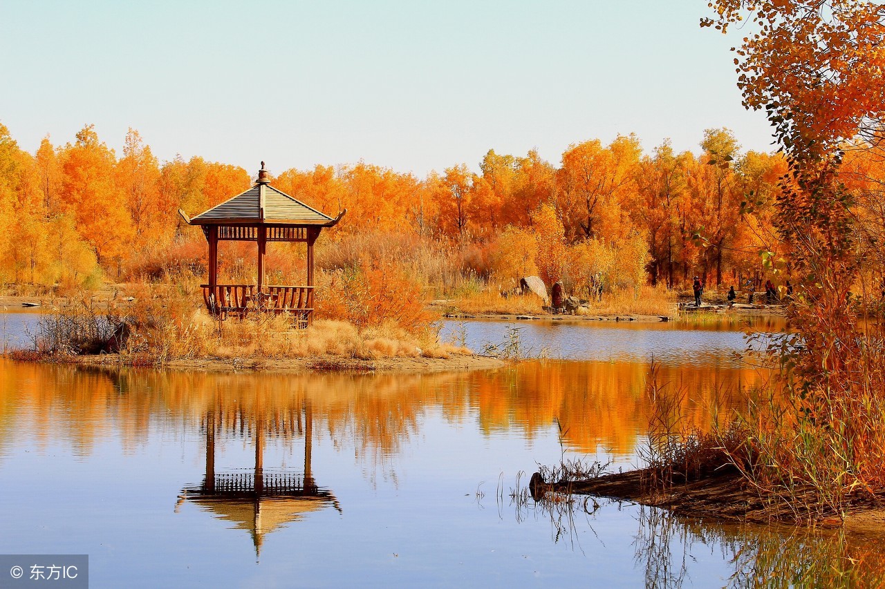 金胡杨风景旅游区_金塔胡杨林游记 - 密云旅游