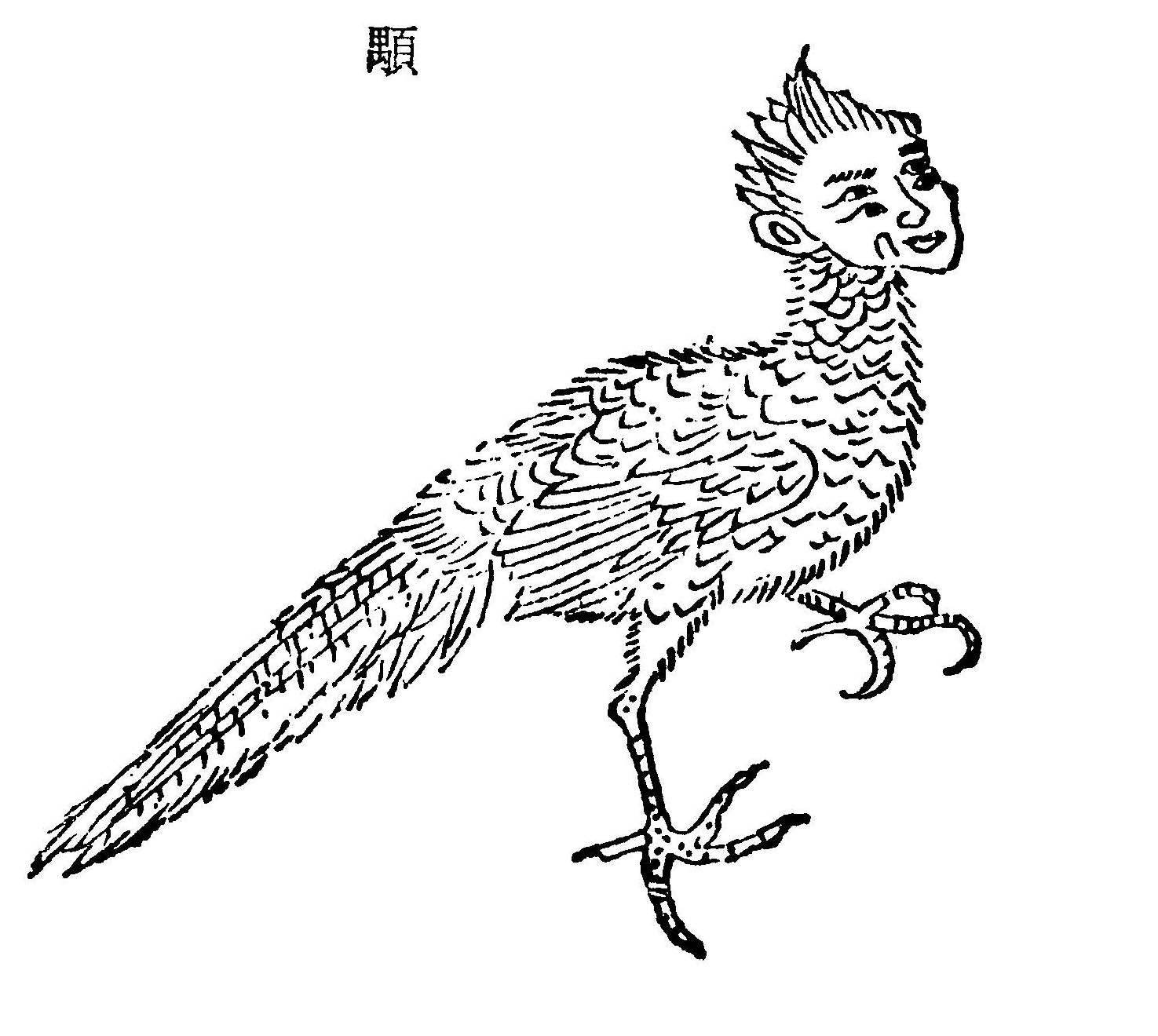 旱兽原文:又东三百七十里,曰仑者之山,其上多金玉,其下多青雘.