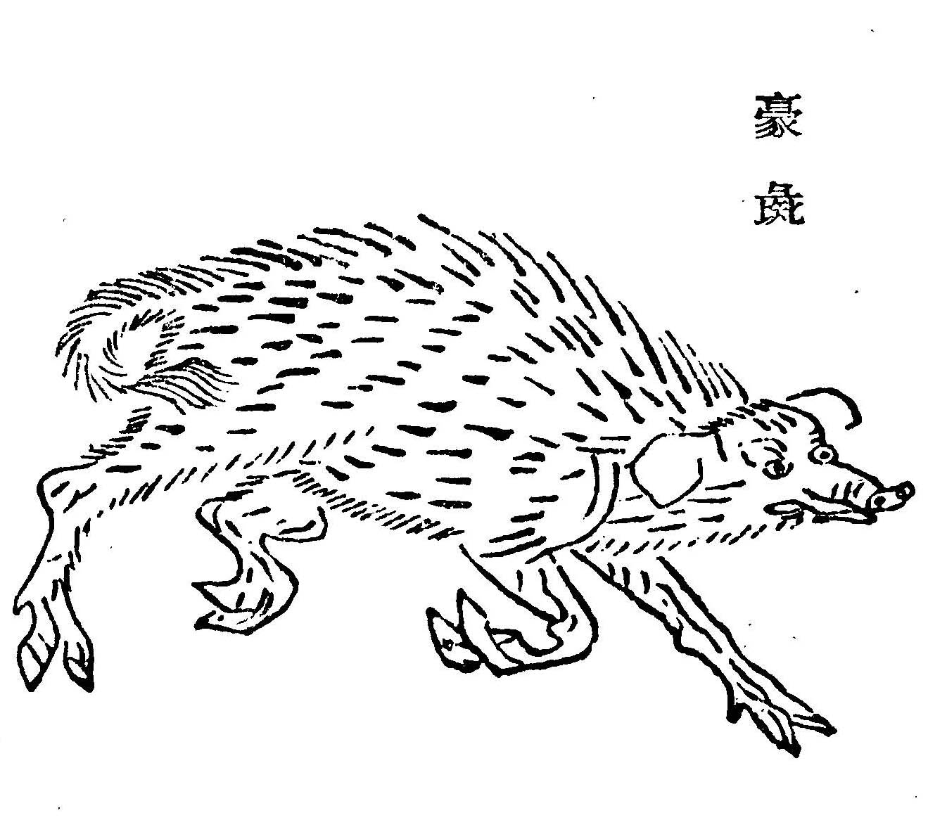 科普向,白话图解西山经—《山海经》