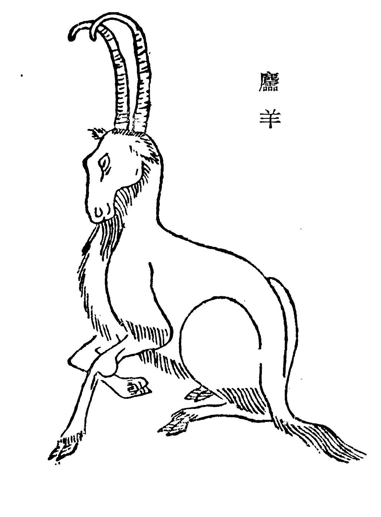 其上多棕枏,其下多竹箭,其阳多黄金,玉,其阴多旄牛,麢,麝;其鸟多鸓,其