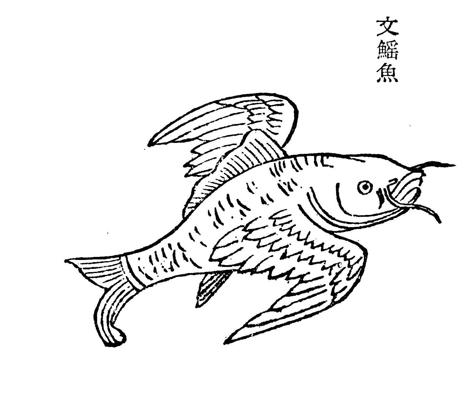 山海经梼杌原文介绍_山海经详解 - 励志人生