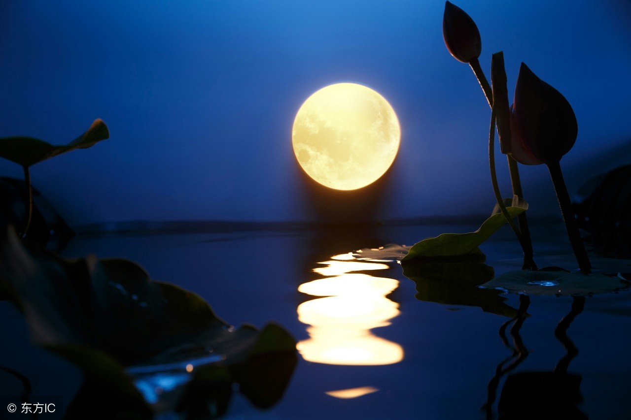 你读过的写月亮最美的一句古诗词是什么？