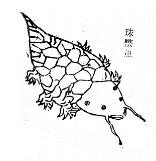 山海经狌狌原文山海经第二卷西山经