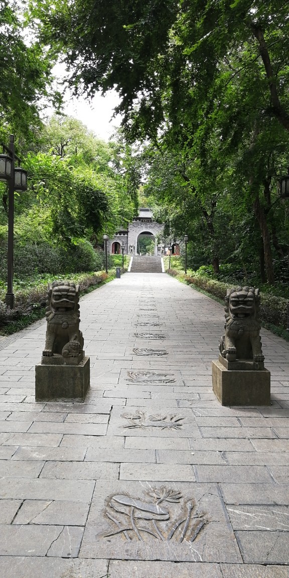 醉翁之意不在酒——琅琊山半日游