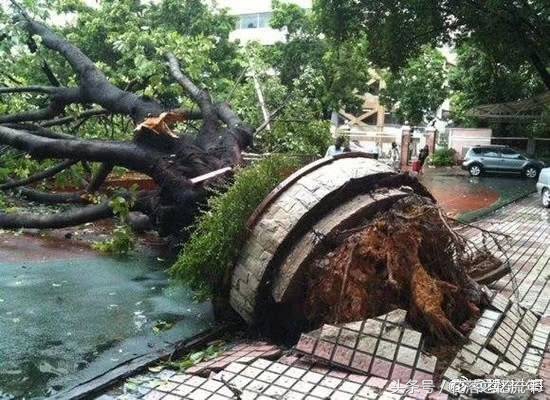 准风王“山竹”逼近华南，台风路径为啥如此鬼畜