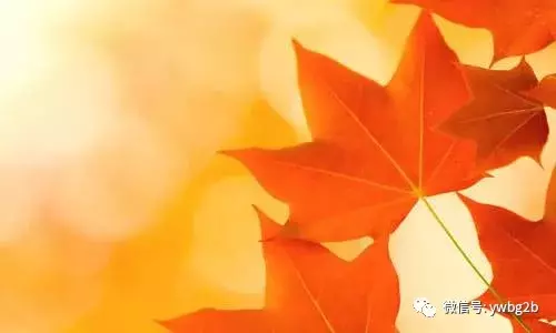 欣赏关于秋的古诗名句