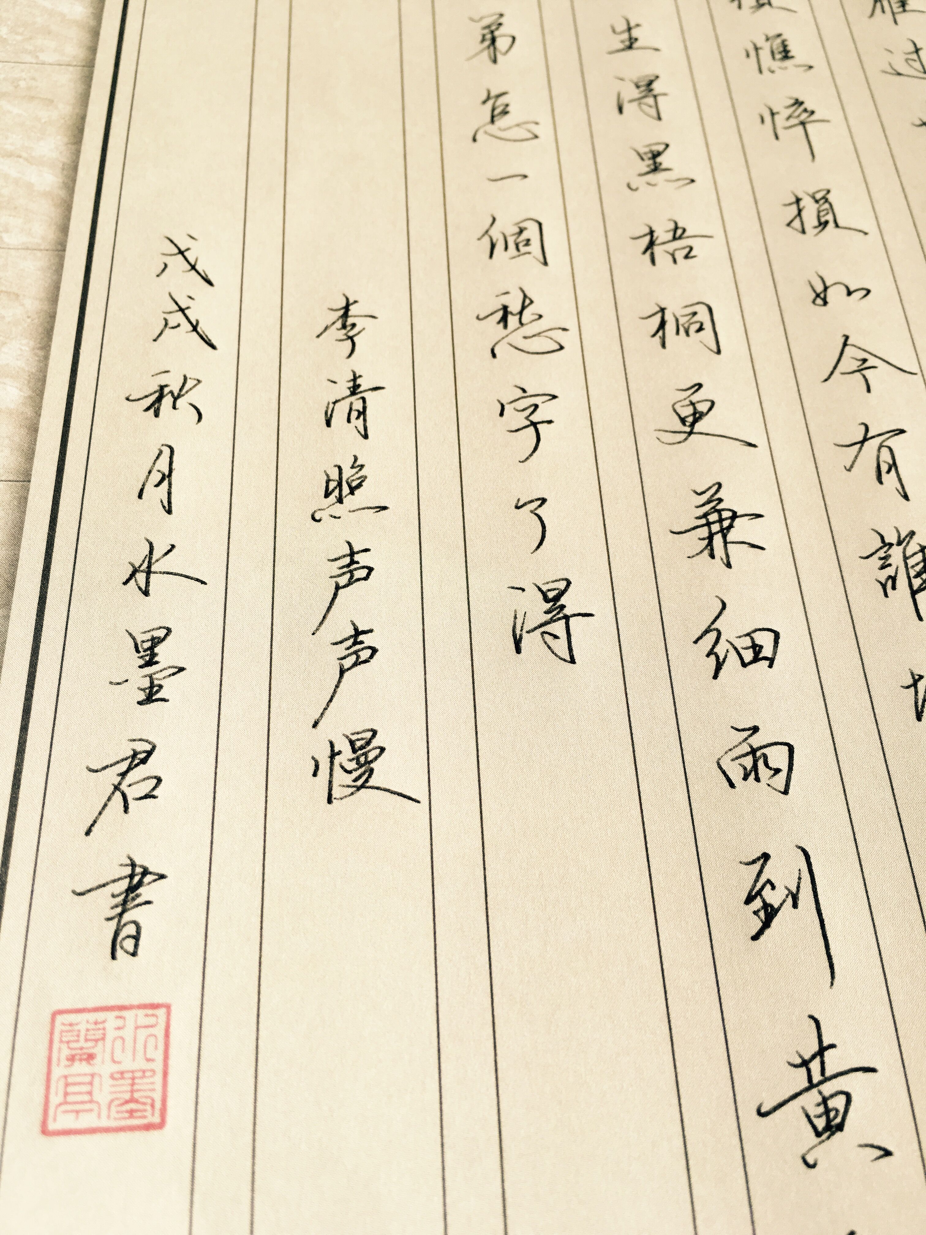 钢笔行书:李清照《声声慢》,寻寻觅觅冷冷清清凄凄惨惨戚戚