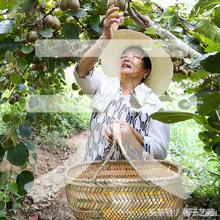 「今天，为亿万中国农民转发！」“春种一粒粟，秋收万颗子