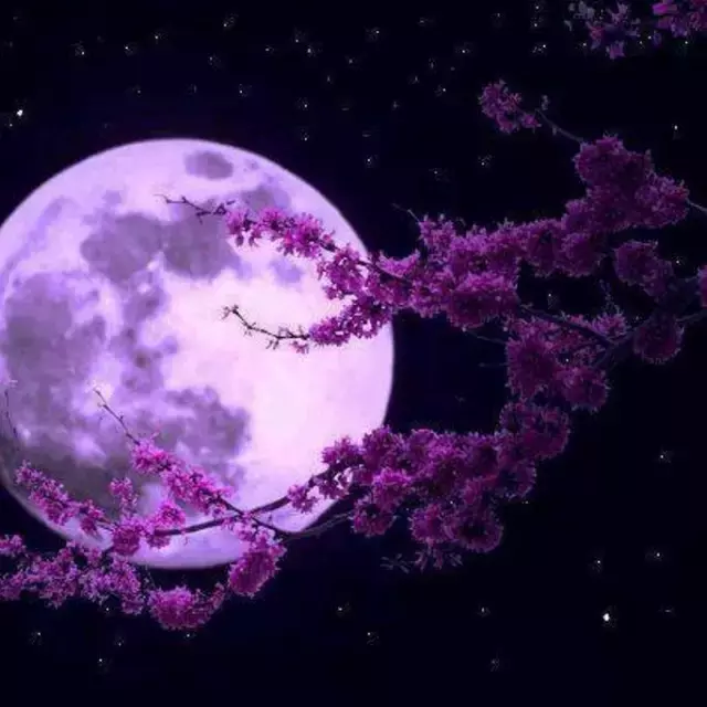 「美图」中秋快乐，最美月亮送给您！