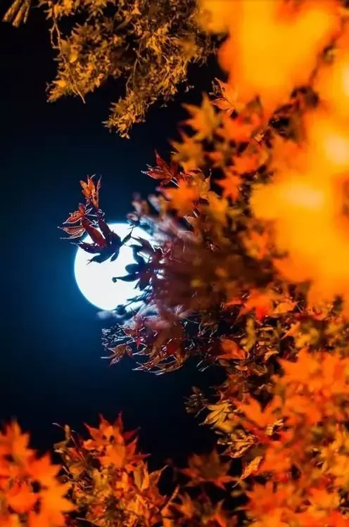 「美图」中秋快乐，最美月亮送给您！