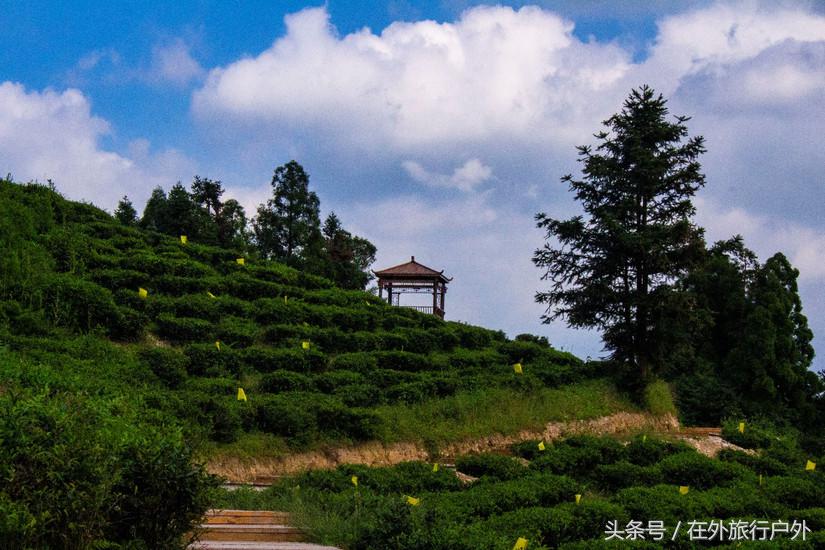 福鼎首个茶山观光栈道九峰山