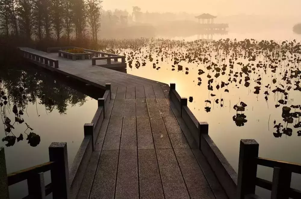 武汉这个景点人少又免费！还有这个好消息，错过你就亏大了！