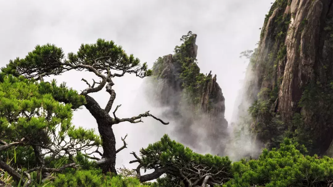 武汉这个景点人少又免费！还有这个好消息，错过你就亏大了！