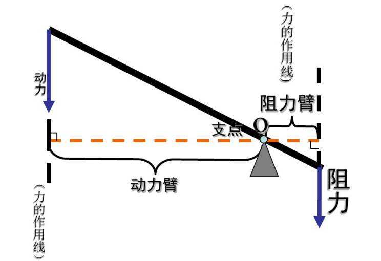 你的手臂是省力杠杆还是费力杠杆？