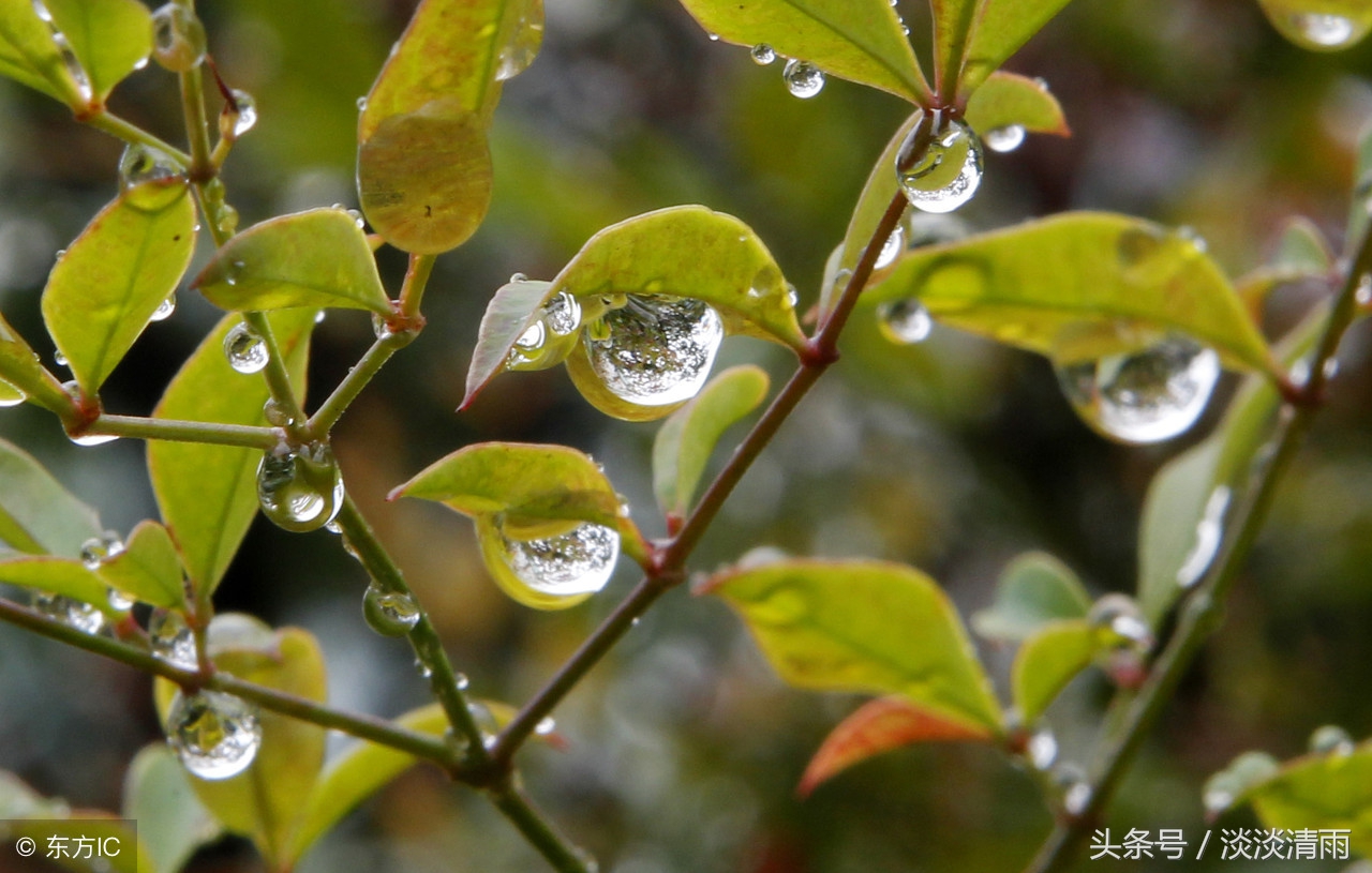 盘点20首描写雨的诗
