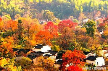 我最爱的一首描写秋天的诗，刘禹锡的《秋词》