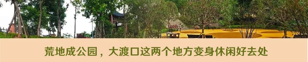 重磅！未来三年，大渡口这3个地方要打造成4A级景区！